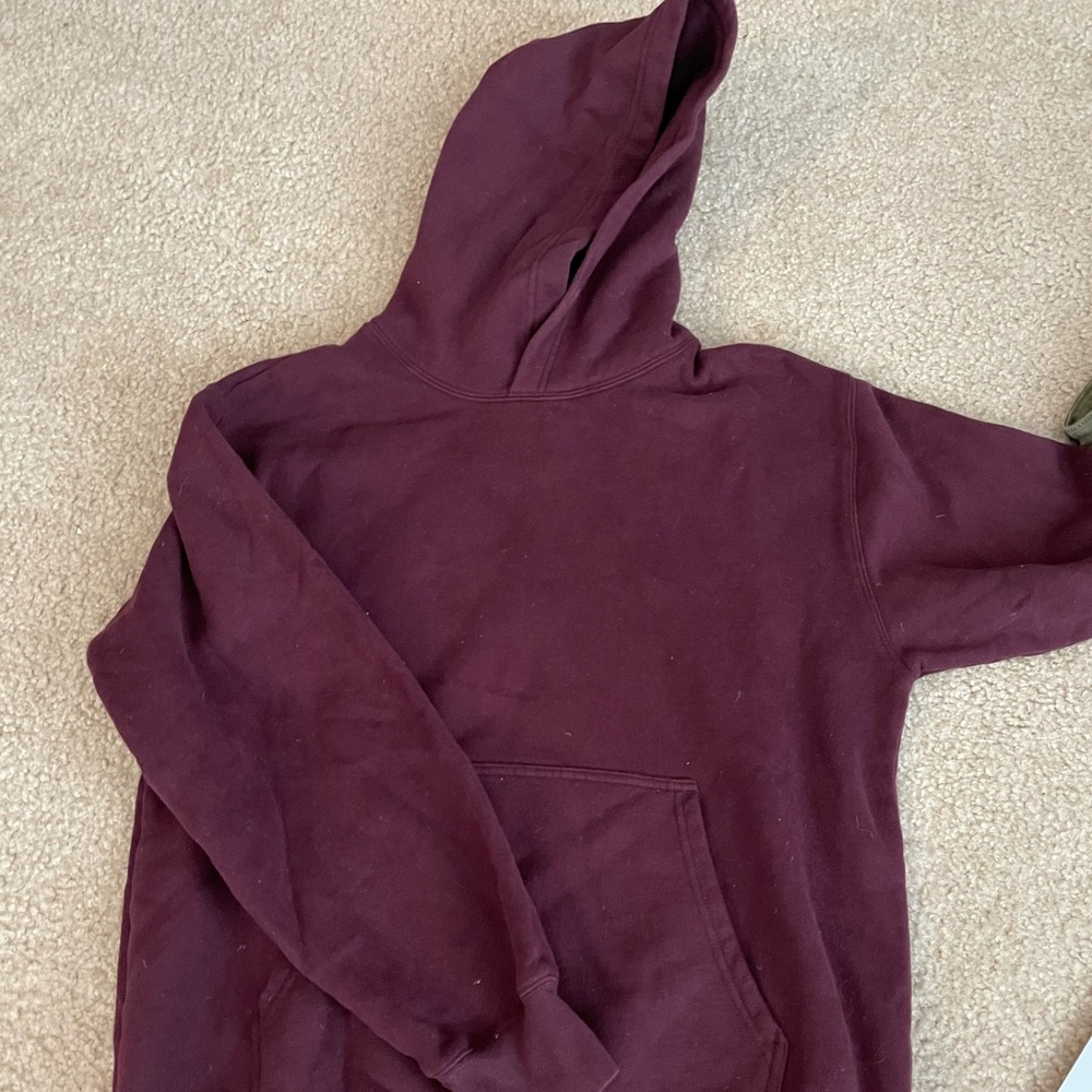 Aritzia TNA Burgundy Hoodie Sweatshirt